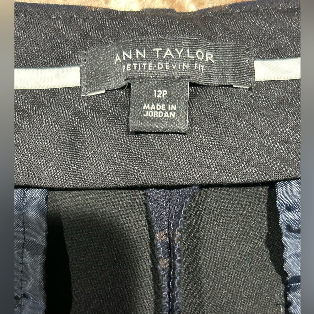 Ann Taylor Navy Petite-Devlin Fit Trousers View 3